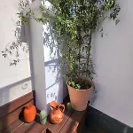 Tiny House With Terrace Near Pantheon