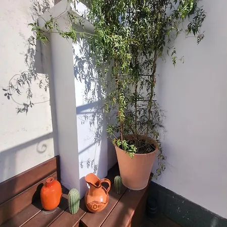 Tiny House With Terrace Near Pantheon