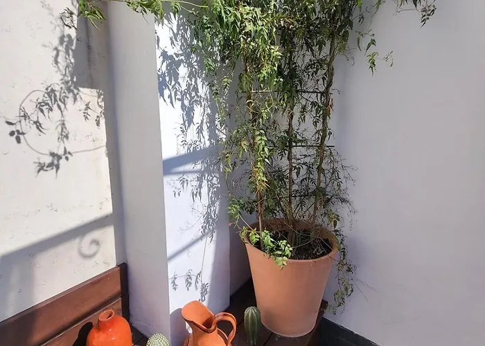 Tiny House With Terrace Near Pantheon