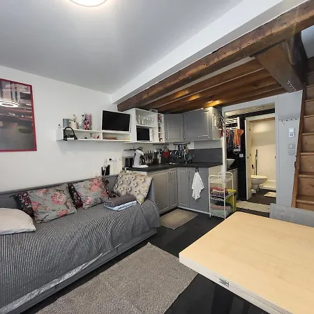 Apartment Tiny House With Terrace Near Pantheon Paris